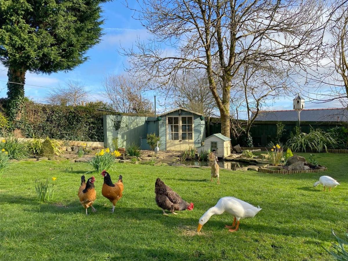 Apartmán The Duck House Swansea Exteriér fotografie